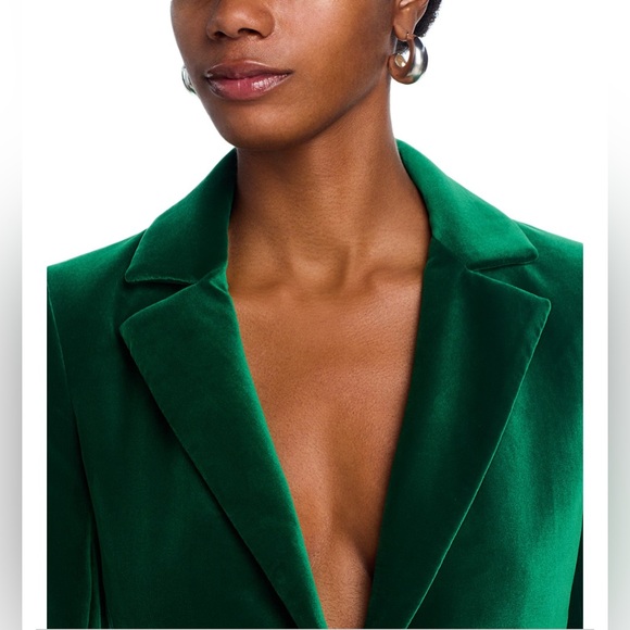 Alice + Olivia Macey Velvet Blazer in Forest Green - Picture 5 of 9